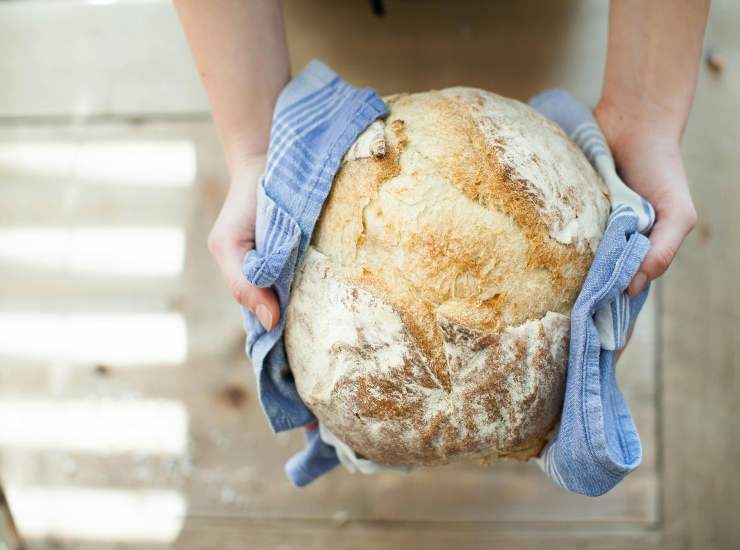 Pane appena sfornato (Pexels)-stylology.it