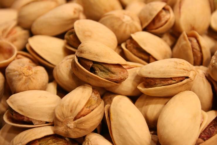 pistacchi
