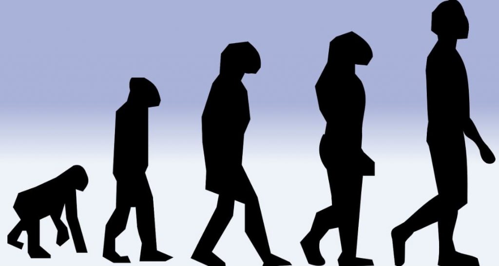 Selezione Naturale Charles Darwin