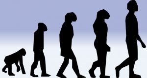 Selezione Naturale Charles Darwin