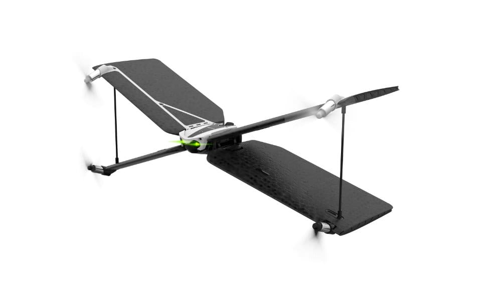 Parrot Swing