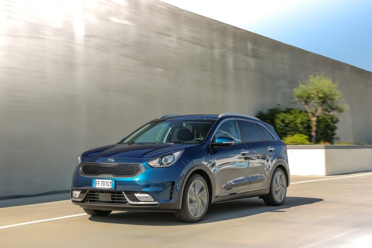 Kia Remote Assistant