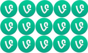 Vine chiude i battenti
