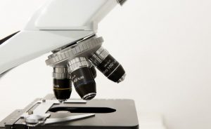 I giorni della ricerca
