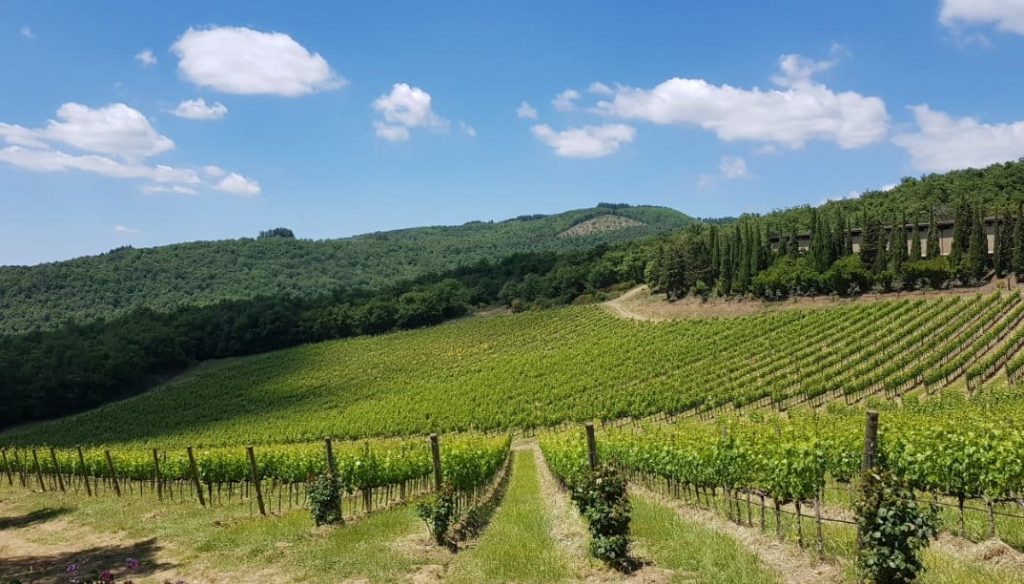 Castello di Albola