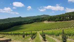 Castello di Albola