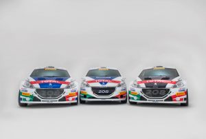 CIR 2018 peugeot rally