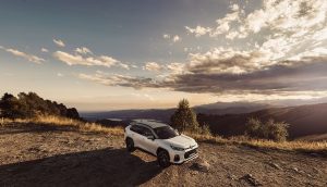 suzuki across yoru web edition