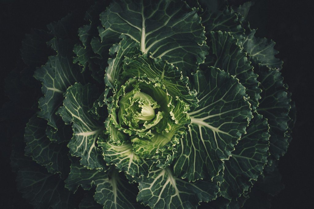 3 Idee per utilizzare le verdure di stagione