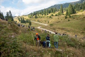 foresta degli innovatori