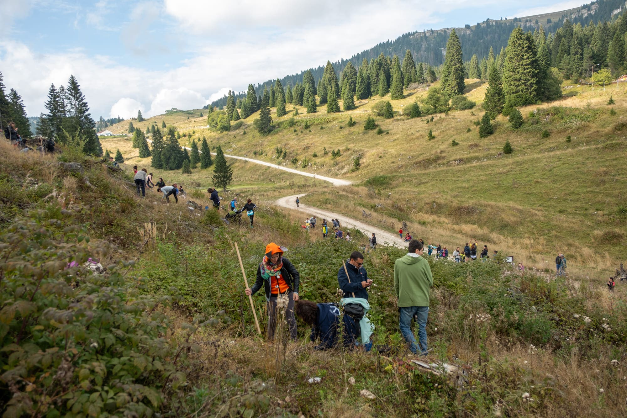 foresta degli innovatori