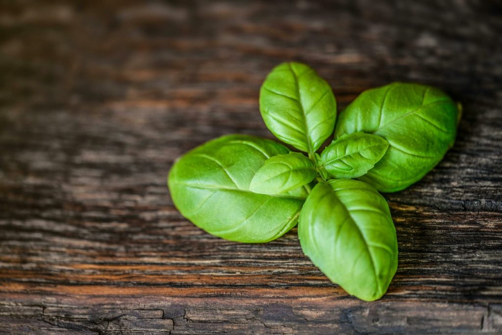 Sughi e pesti pronti: come sfruttarli al meglio in ogni situazione
