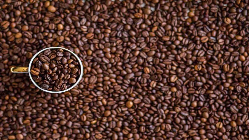 Caffè, tutti comprano sempre la stessa marca ma il migliore sul mercato è questo | Sembra di bere il caffè a Napoli