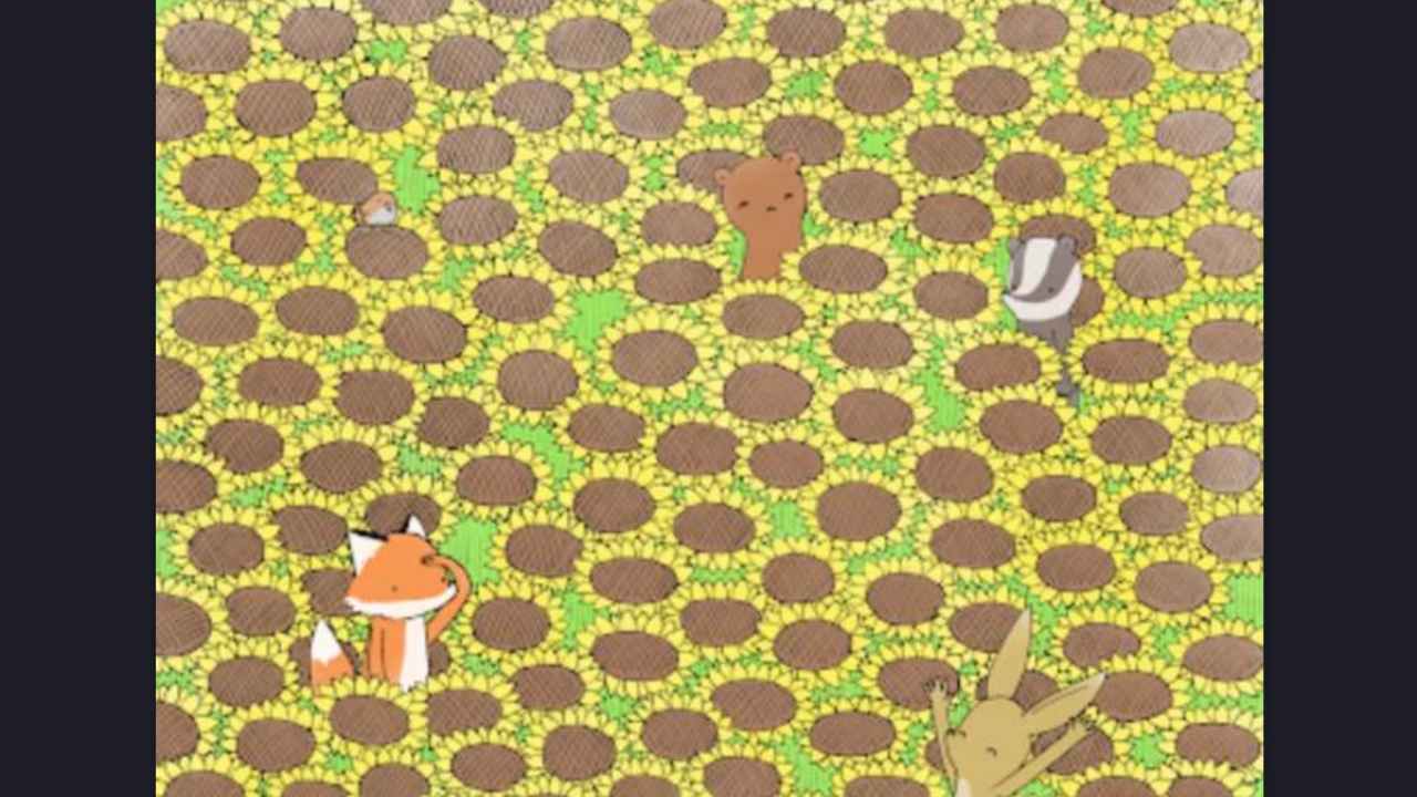 Test visivo della farfalla