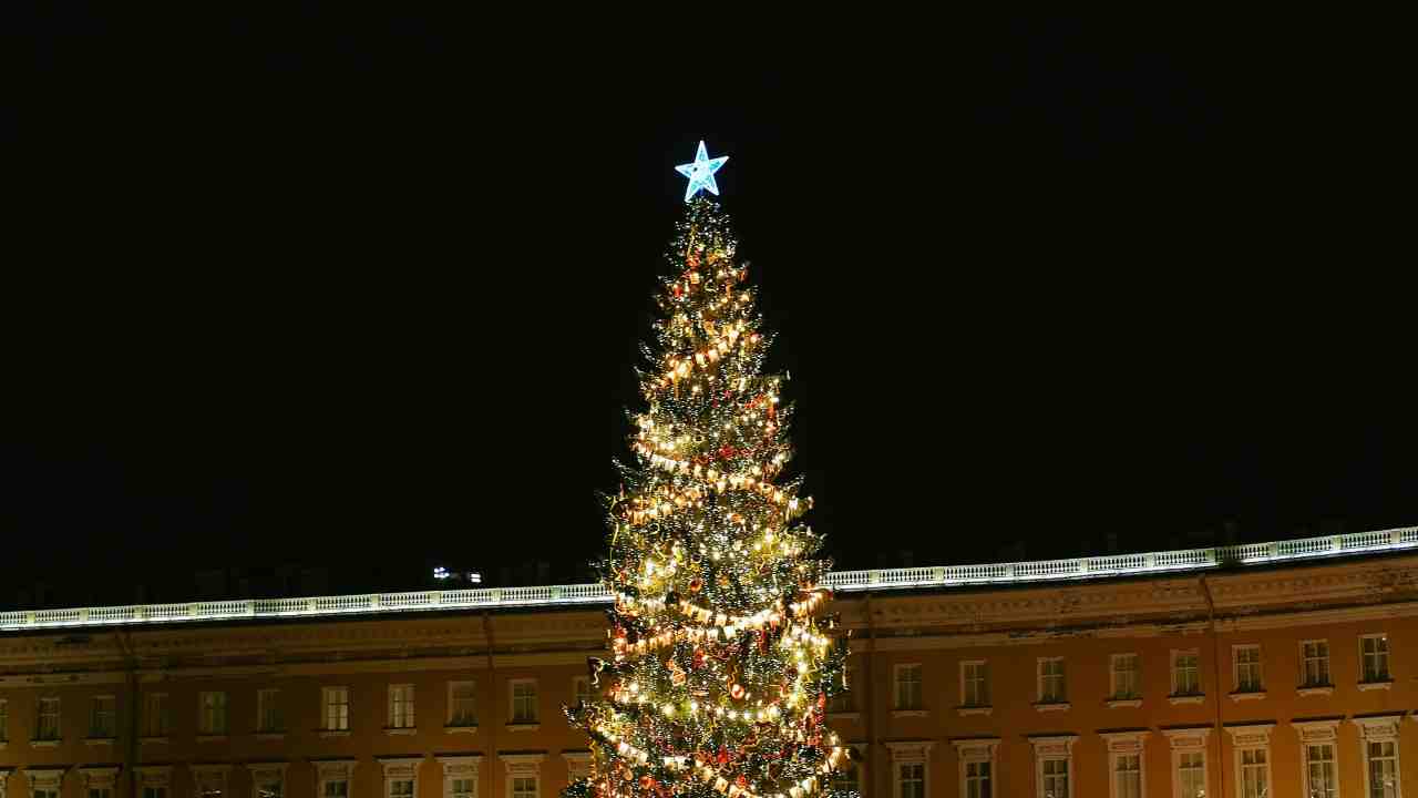L’albero che si vede dallo spazio | Gubbio accende il suo gigante verde da record del mondo: il momento più atteso ha già una data fissata
